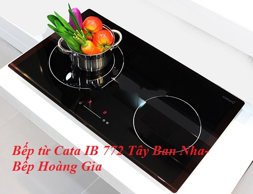 Bếp từ Giovani, bếp từ Cata loại nào tốt?