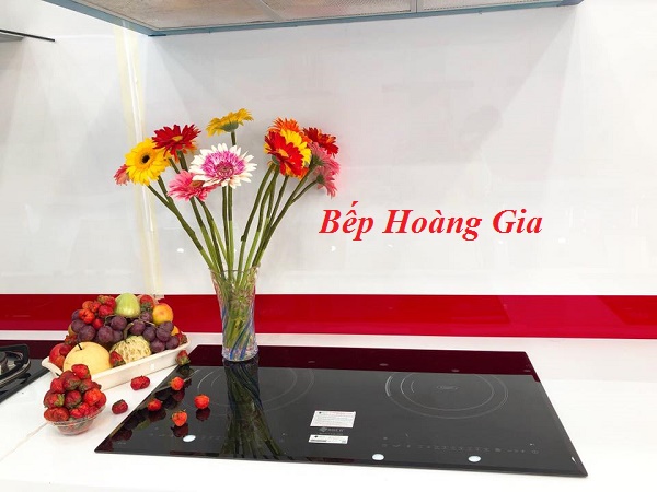 Top 5 hãng bếp từ tốt nhất 2019