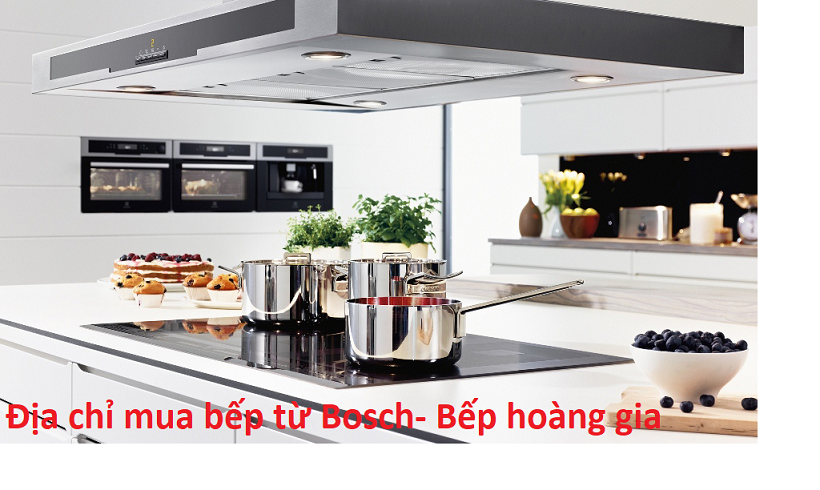 Địa chỉ mua bếp từ Bosch ở nha trang