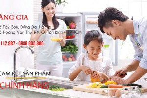 Địa chỉ bán bếp từ faster chính hãng