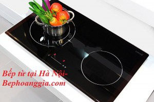 Giới thiệu sản phẩm Bếp từ Cata IB 772