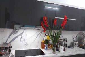 Đánh giá sản phẩm bếp từ chefs eh-dih333